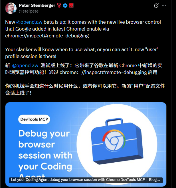 AI 终于有“眼睛”了：OpenClaw × Chrome DevTools MCP 让 AI 实时控制浏览器